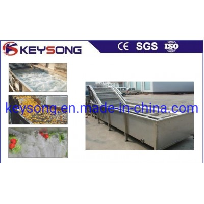 Vegetables Bubble Washing Machinery with Brush Rollers