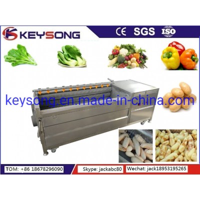 Brush Roller Fruit Vegetables Washing Machinery